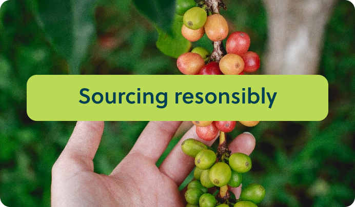 a hand holding a bunch of berries with the words sourcing responsible