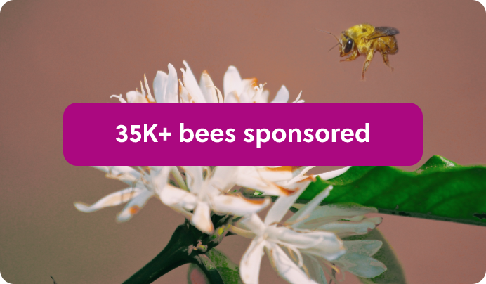 a bee flying over a white flower with the words 350k bees sponsored