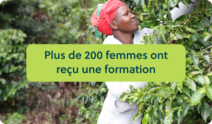 a woman picking leaves from a tree with the words plus de 20 femmes on regu une
