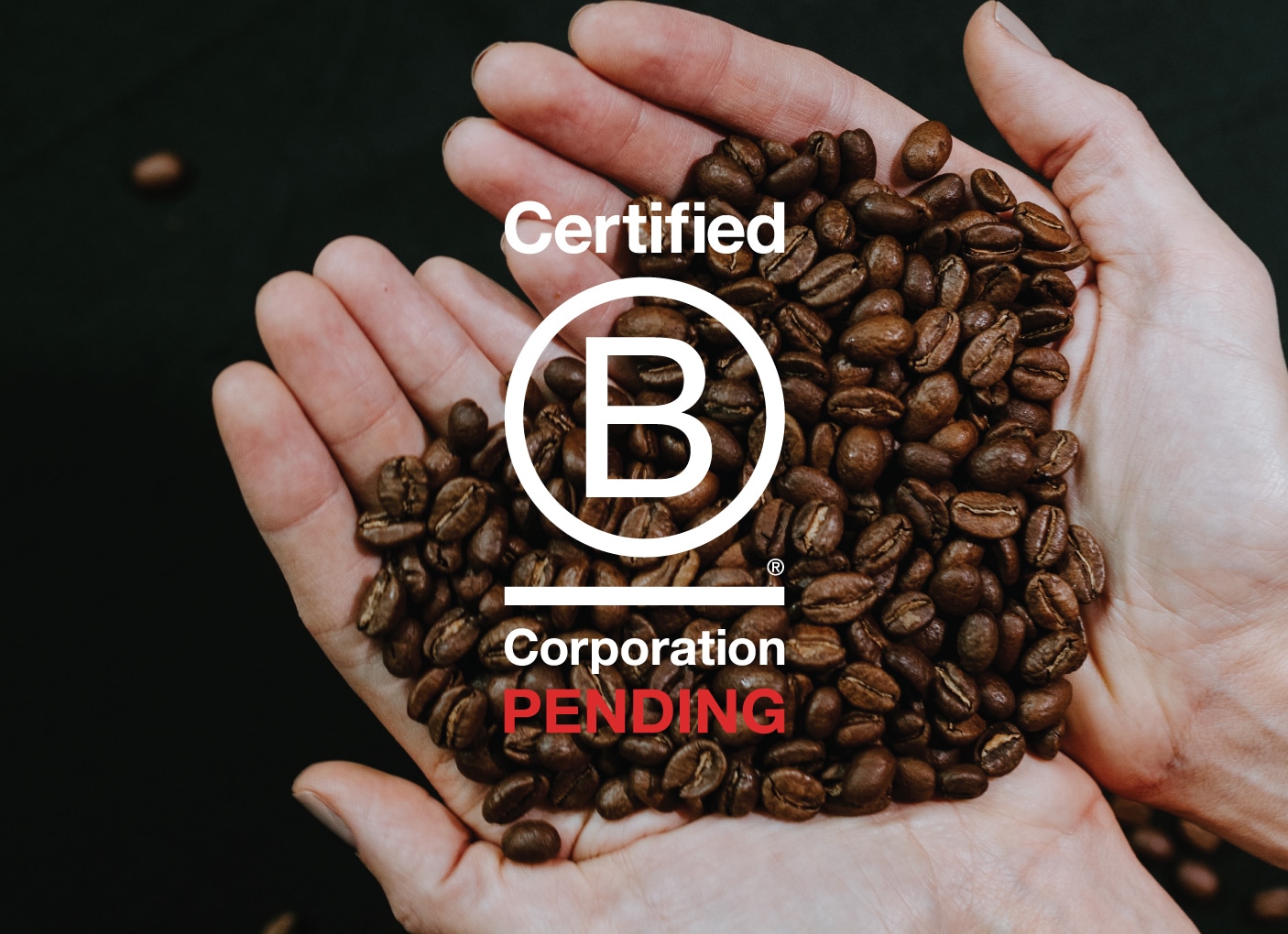 two hands holding coffee beans with the letter b in between them