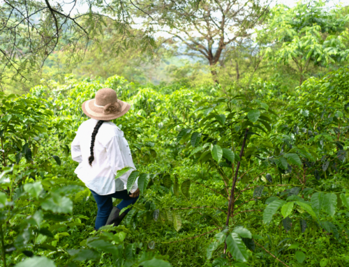 L’autonomisation des caféicultrices du Nicaragua et de partout en Amérique latine