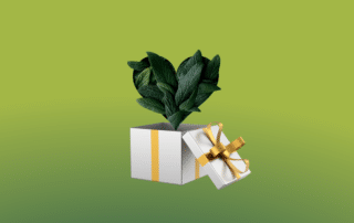 a white gift box with a heart shaped green plant in it