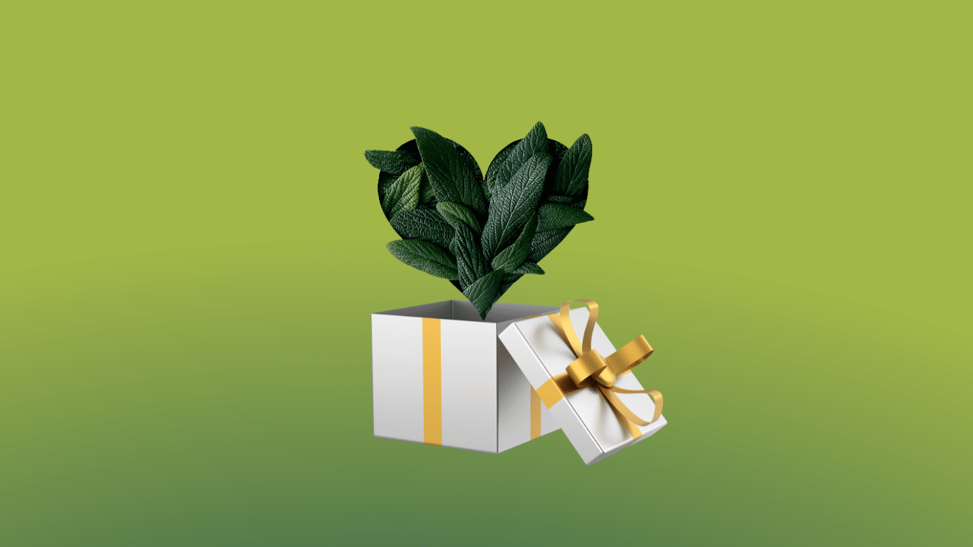 a white gift box with a heart shaped green plant in it