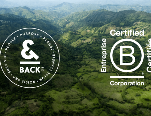 &BACK obtient la certification B Corp : Une étape importante dans notre engagement à créer des impacts sociaux et environnementaux